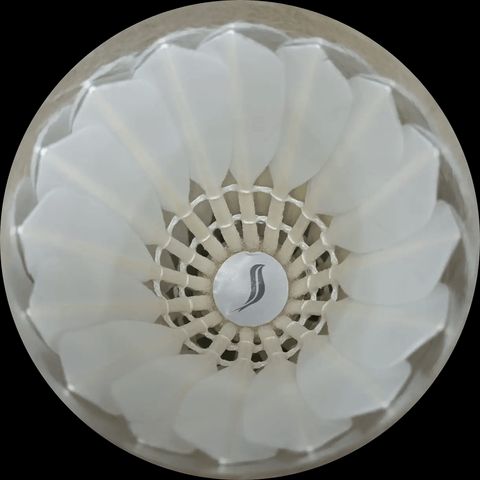 view off Swifties Lite badminton shuttlecocks, Yonex AS-30 Equivalent revealing a single shuttlecock with premium Grade A goose feathers and a triple-layer Portuguese cork head, prominently displaying the Swifties logo in the centre