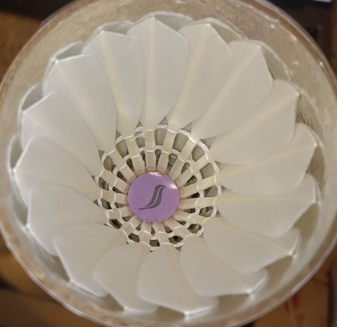Swifties Core goose feather shuttlecock inside tube, showcasing budget-friendly training shuttle for badminton on swifties.co.uk