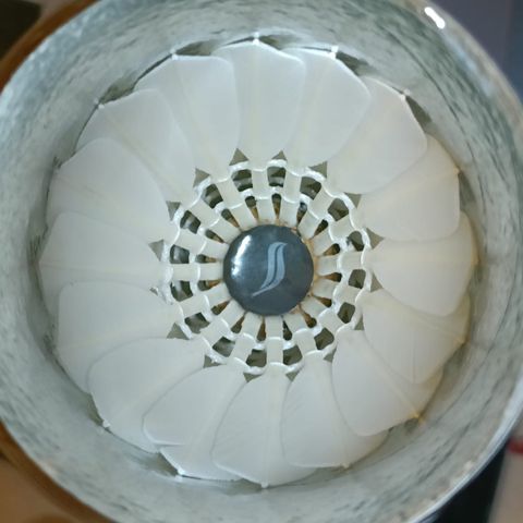 Brand new Swifties Pro shuttlecock in tube, Best AS-50 class with natural cork base.